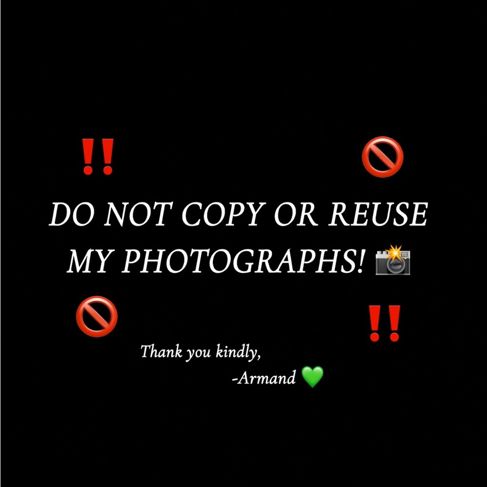 IMPORTANT NOTICE REGARDING THE USE OF MY PHOTOS‼️📸